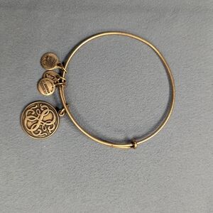 Alex And Ani Gold Charm Bracelet Letter S